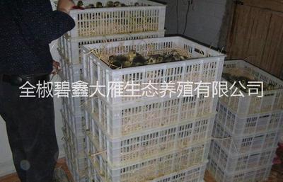 产品删除页
