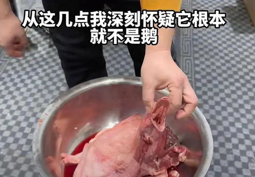 闹大了 东北雨姐回应大鹅事件,更多细节被扒,眼尖网友发现猫腻