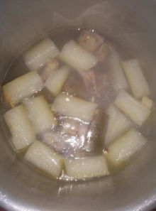 会飞的非洲雁鸭,加上冬瓜把它炖了