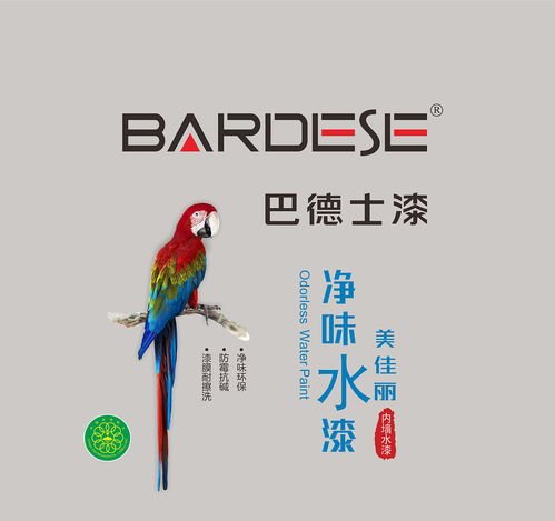巴德士 巴德士艺术漆产品包装图和手册图