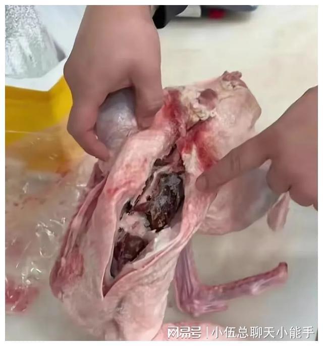 东北雨姐晒合格,和打假博主买的鹅是同一个生产商,不能再抵赖了