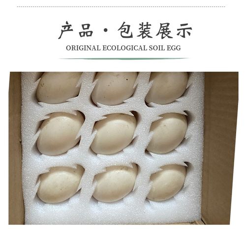 非洲雁蛋新鲜孕妇宝宝正宗农家散养现捡现发